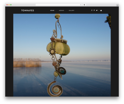 Whizz WordPress theme - tonhayes.com