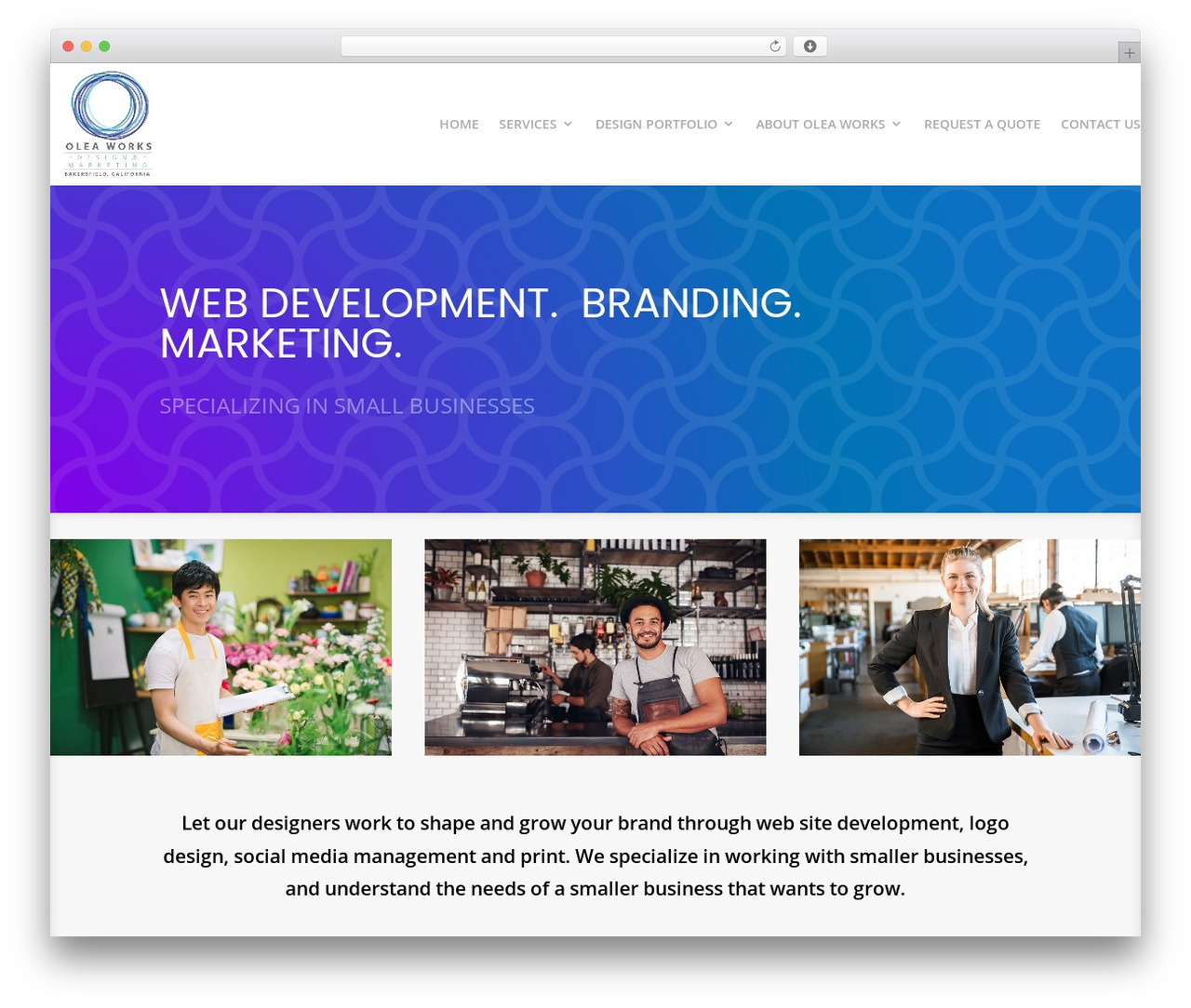 Divi WordPress theme design - oleaworks.com