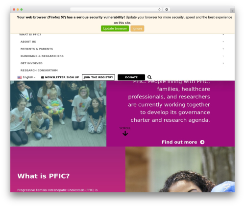 Wp browser update WordPress plugin - pfic.org