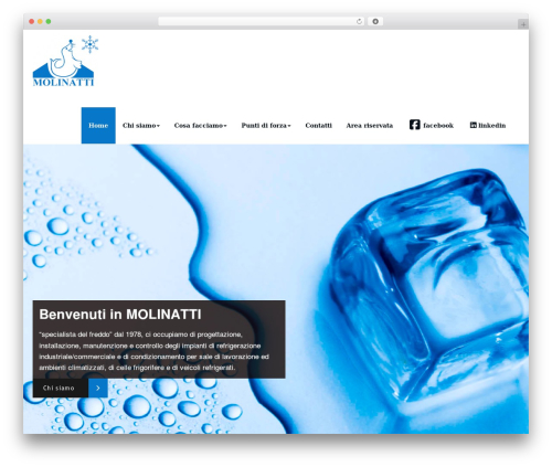 Spice Social Share (spice-social-share) free WordPress plugin - molinatti.com Spice Social Share (spice-social-share) free WordPress plugin - molinatti.com