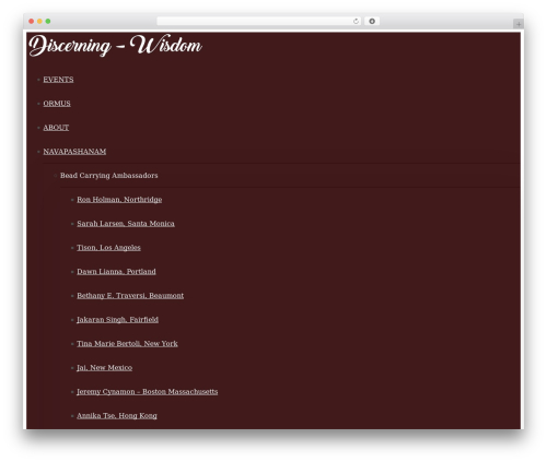 WordPress website theme Wisdom - discerning-wisdom.com