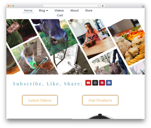Shopify plugin WordPress plugin - planeview.farm