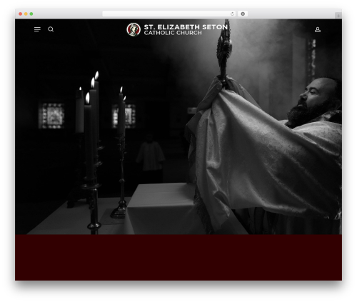 Prayerengine_plugin WordPress plugin - stelizabethseton.org