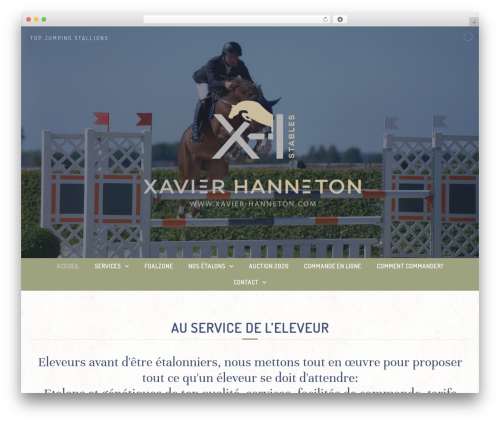 Curly extension WordPress plugin - xavier-hanneton.com