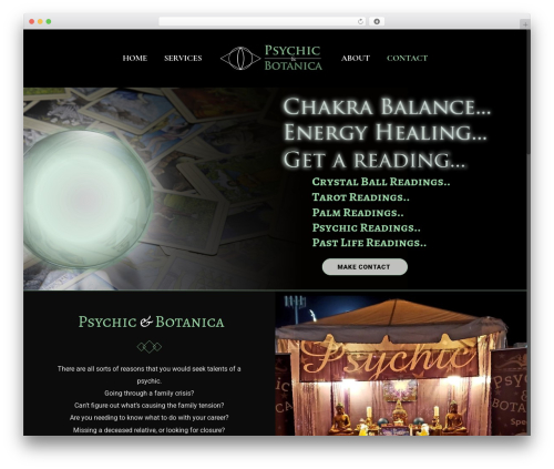 Ditty twitter ticker WordPress plugin - psychictucson.com