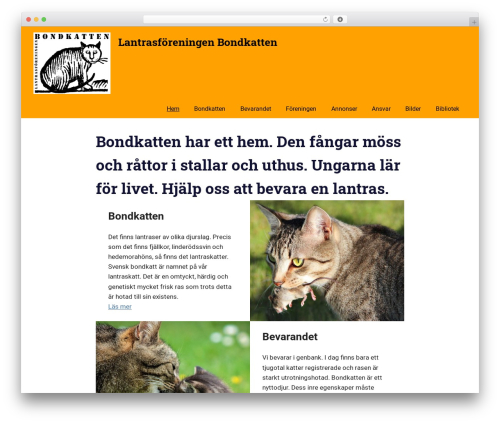 ThemeZee Magazine Blocks (themezee-magazine-blocks) free WordPress plugin - bondkatten.se ThemeZee Magazine Blocks (themezee-magazine-blocks) free WordPress plugin - bondkatten.se