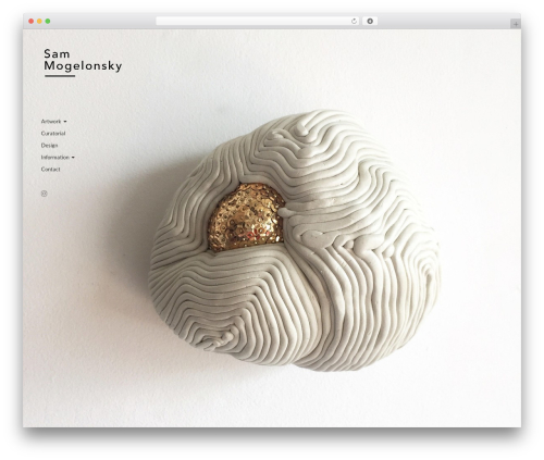 Reframe Plus best WordPress theme - sammogelonsky.com