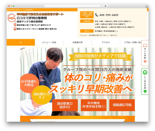 Selfull WordPress theme - max-seikotsuin.com