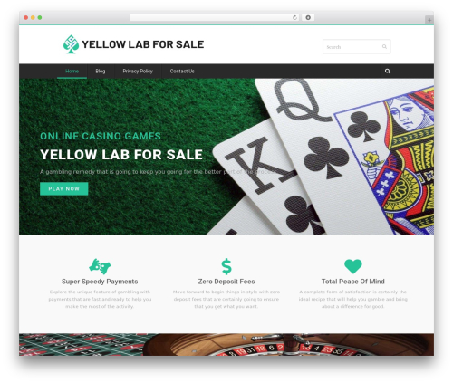 Theme WordPress Titanium - yellowlabforsale.com