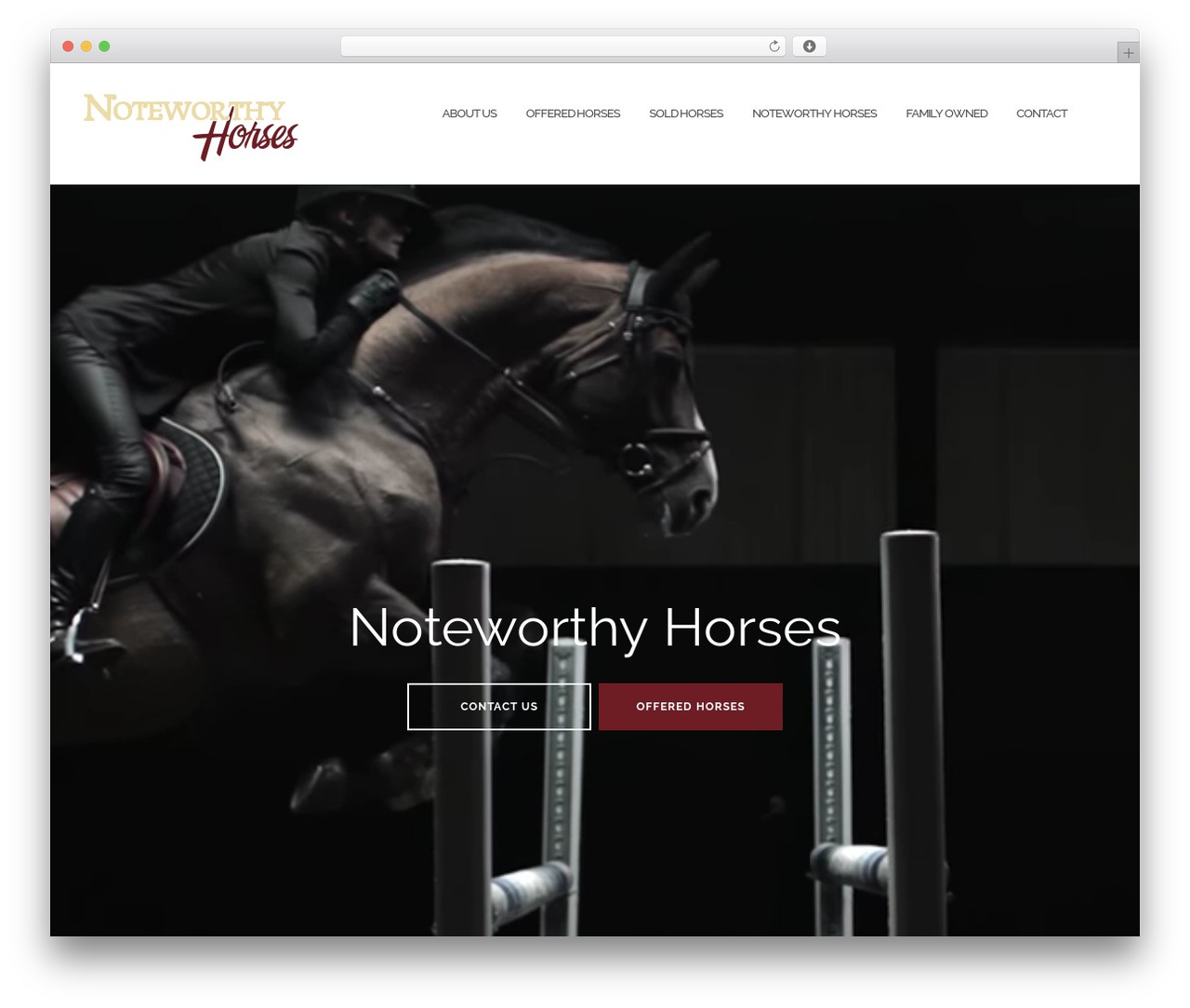 WordPress theme Shapely - noteworthyhorses.com WordPress theme Shapely - noteworthyhorses.com