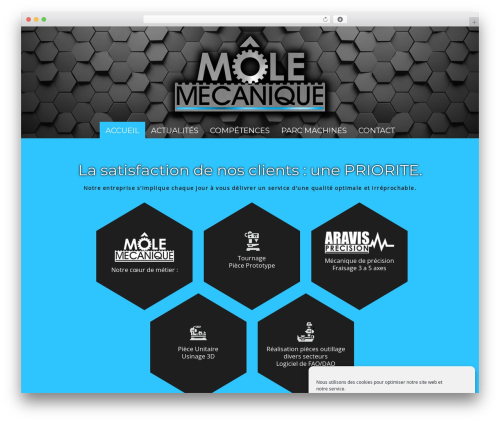 Cherry lazy load master WordPress plugin - mole-mecanique.com