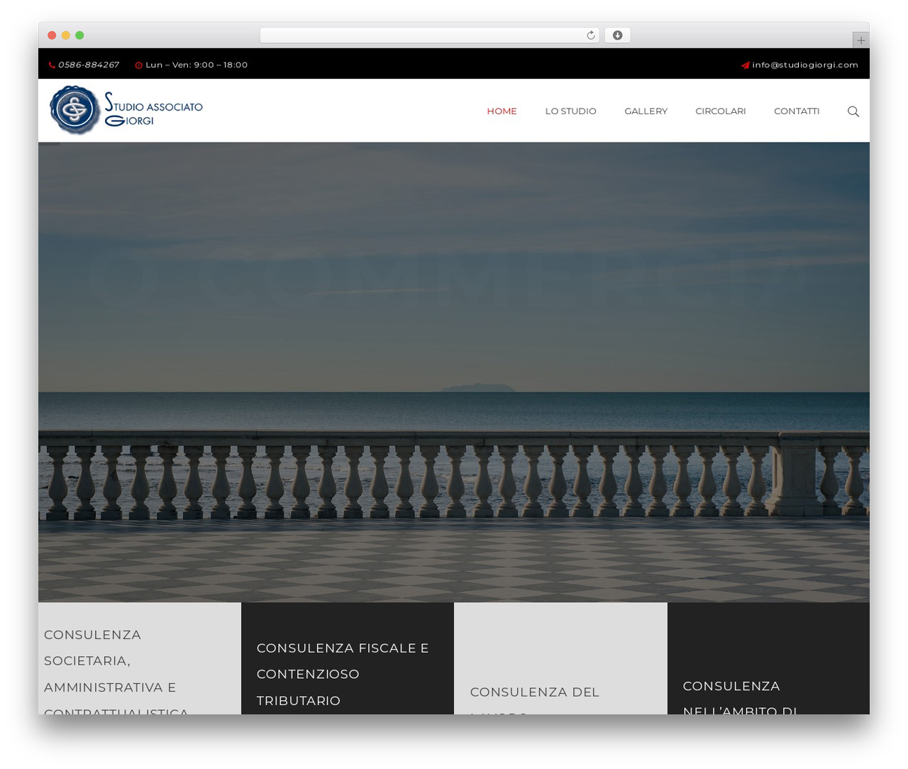 WordPress theme Megatron - studiogiorgi.com WordPress theme Megatron - studiogiorgi.com