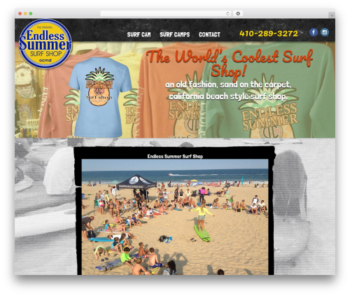 Darwin WordPress shopping theme - endlesssummersurfshop.net