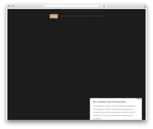 Elfsight popup cc WordPress plugin - salontiny.ch