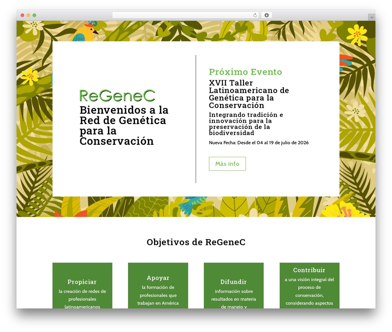 Theme WordPress Divi - regenec.org