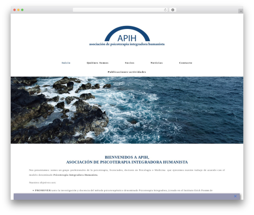 APIH WordPress theme - apih.info