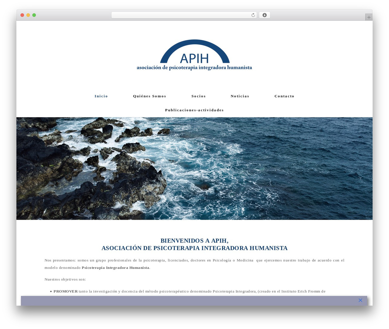 APIH WordPress theme - apih.info APIH WordPress theme - apih.info