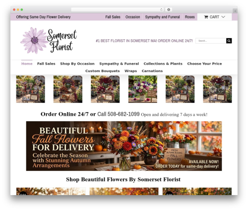 Ms commons WordPress plugin - xaviersflowers.com