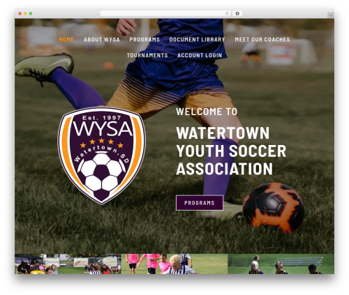 Tswp WordPress plugin - watertownsoccer.com