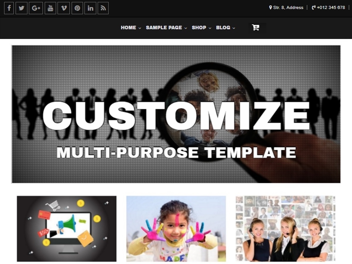 Customize Premium personal WordPress theme by Tsvetomir Tsvetanov
