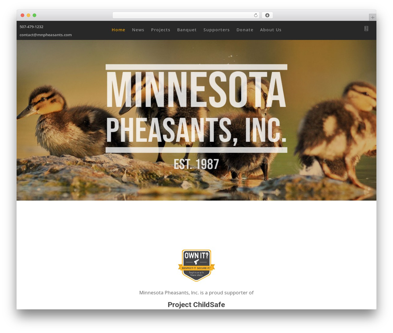 Divi theme WordPress - mnpheasants.com Divi theme WordPress - mnpheasants.com