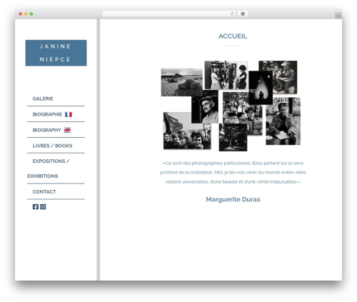 Divina WordPress website theme - janineniepce.com