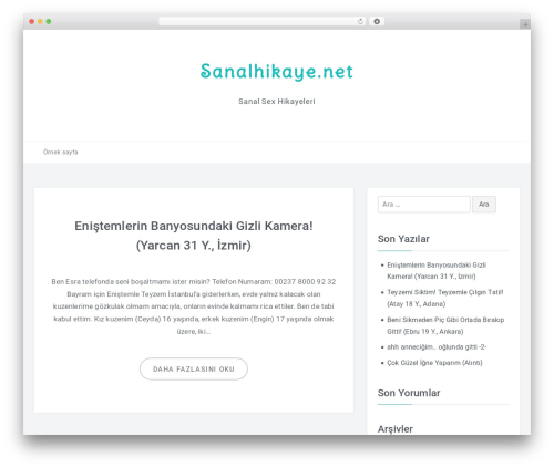 EasyBlog free WordPress theme by FameThemes sanalhikaye net 