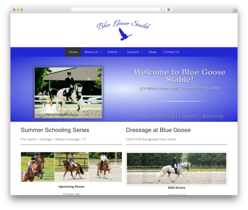 Qubely pro WordPress plugin - bluegoosestable.com