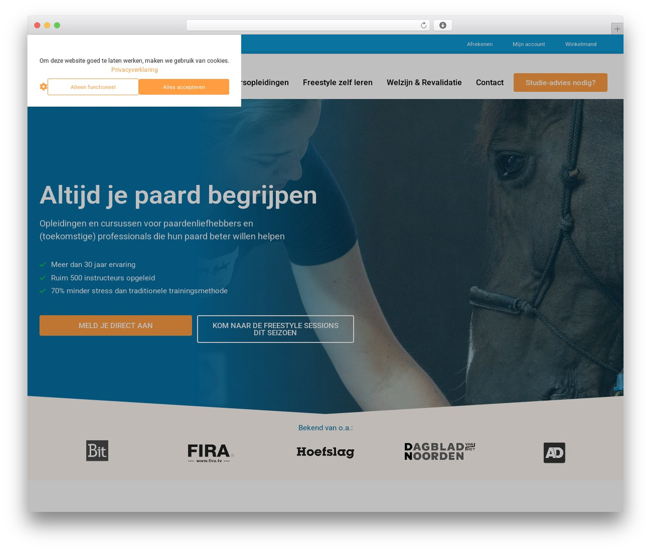 Hello Elementor free WP theme - freestyleacademy.nl