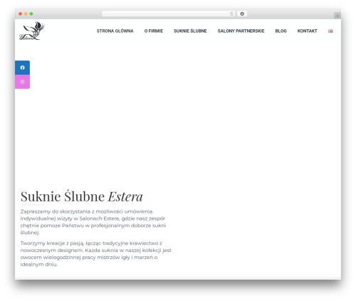 Better post filter widgets for elementor WordPress plugin - suknieestera.pl