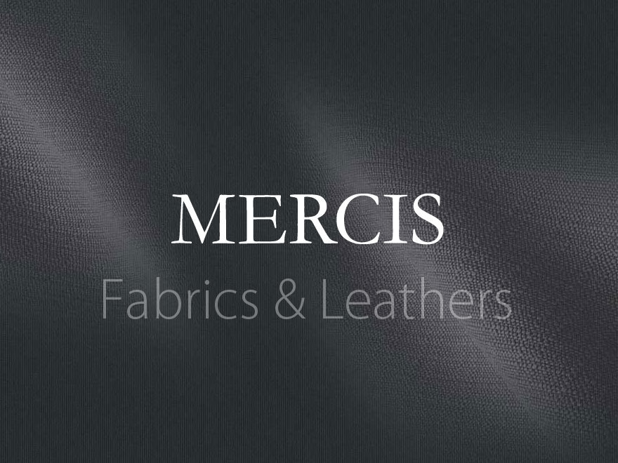 Mercis WordPress theme Mercis WordPress theme