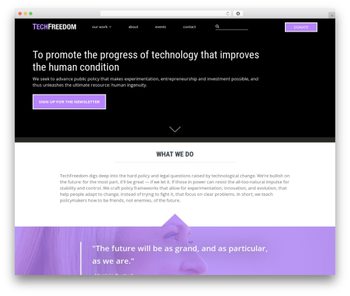 Paperback WordPress theme design - techfreedom.org