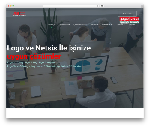 StartFlow WordPress theme for business - atalyabilisim.com