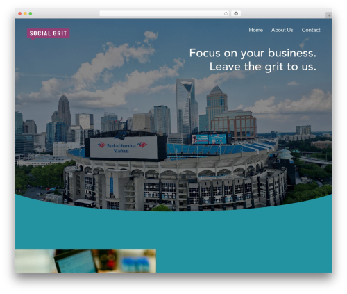 Th widget pack WordPress plugin - socialgritmarketing.com