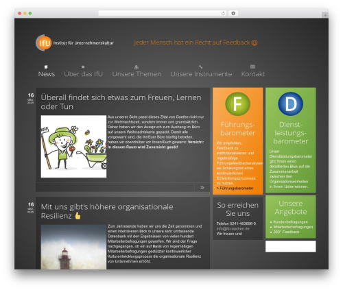 Subway WordPress theme - ifu-aachen.de