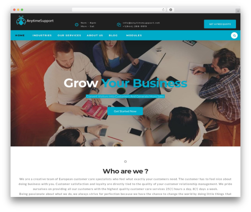 Theme WordPress Consulta - anytimesupport.net