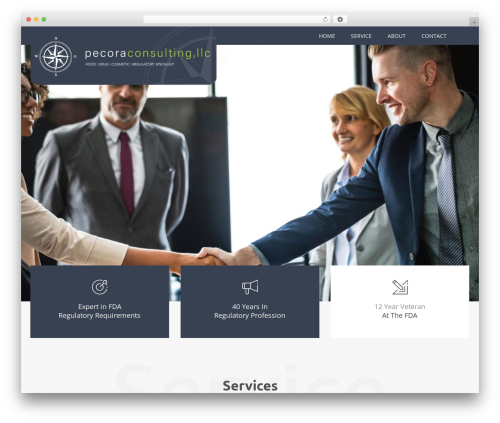 Teriz top WordPress theme - pecoraconsulting.com