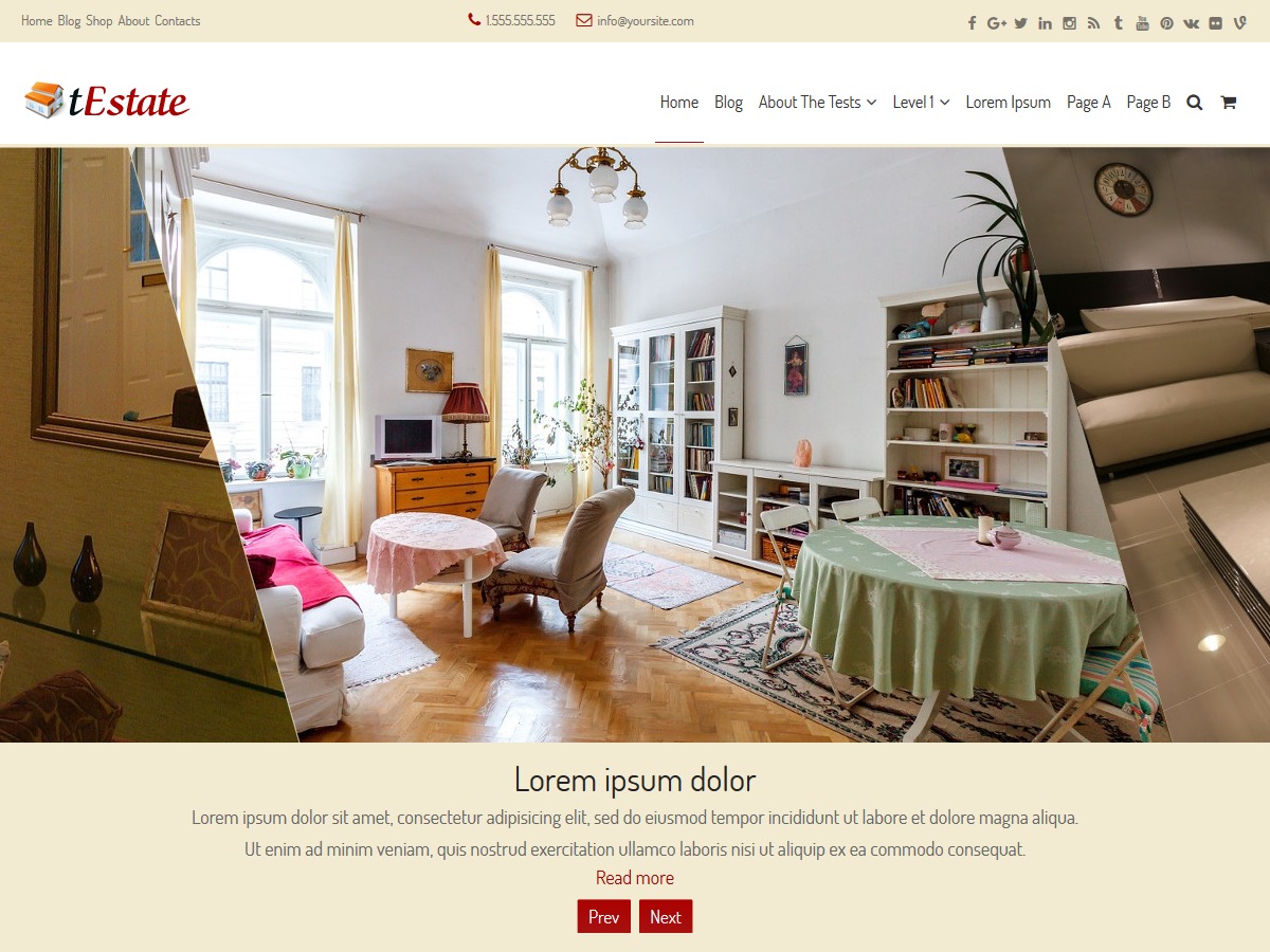 tEstate WordPress shop theme by tishonator