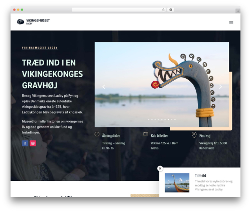 Theme WordPress Divi - vikingemuseetladby.dk