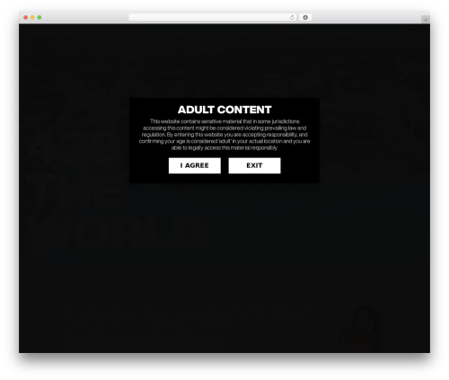 Sendy widget pro WordPress plugin - putricinta.b-cdn.net