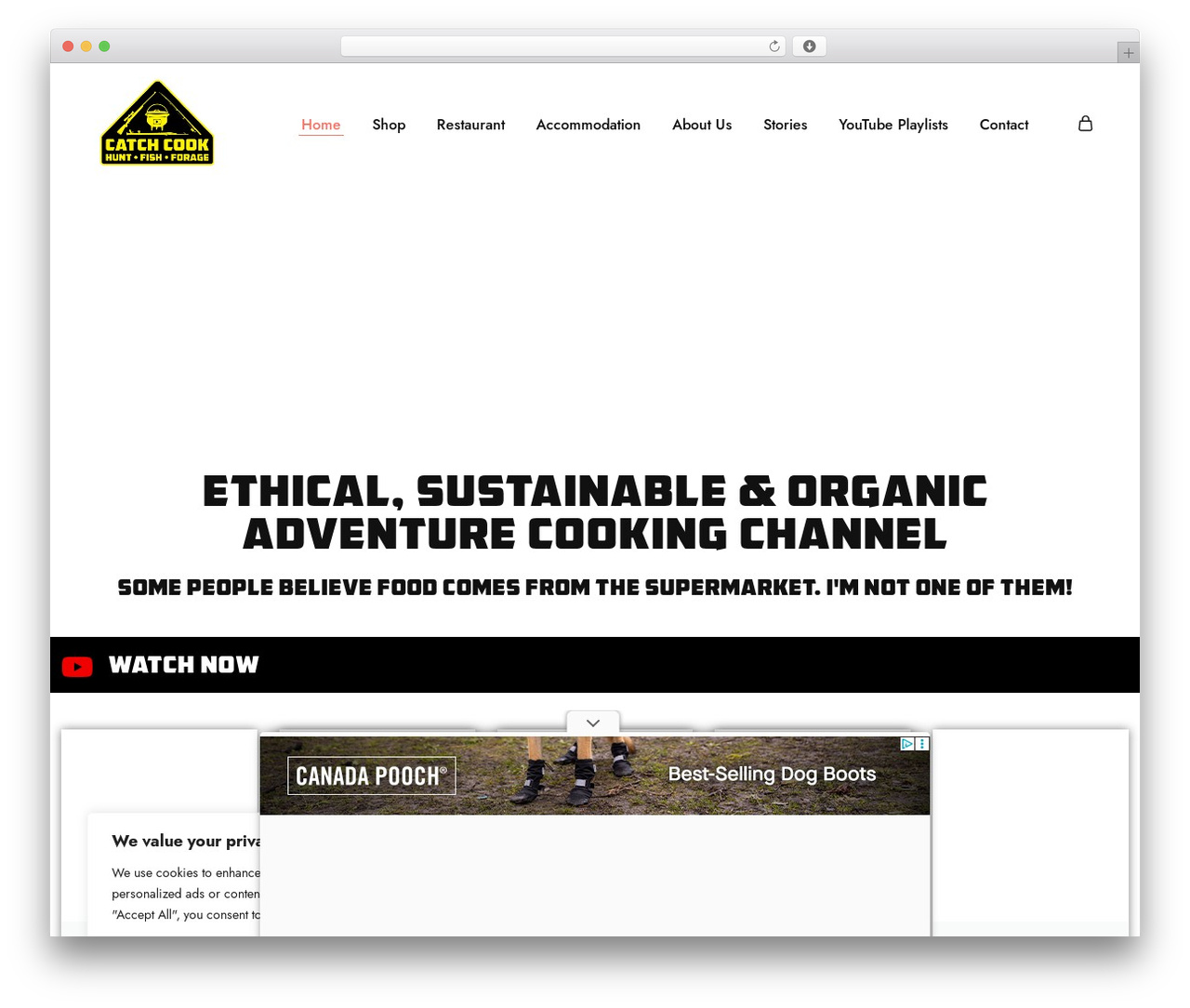 Theme WordPress Razzi - catchcook.com Theme WordPress Razzi - catchcook.com