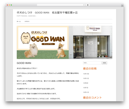 Tiny Framework WordPress theme - goodwan.co