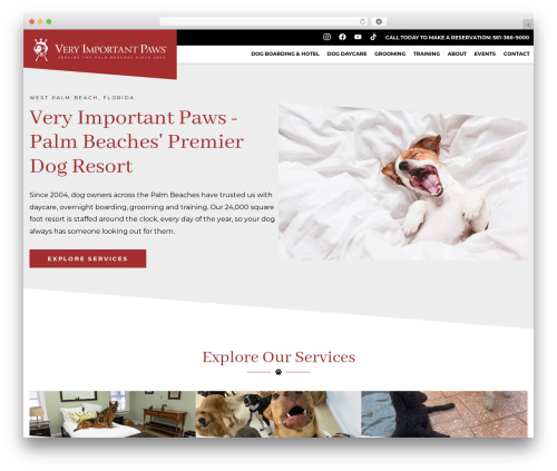 Starfish reviews premium WordPress plugin - veryimportantpaws.com