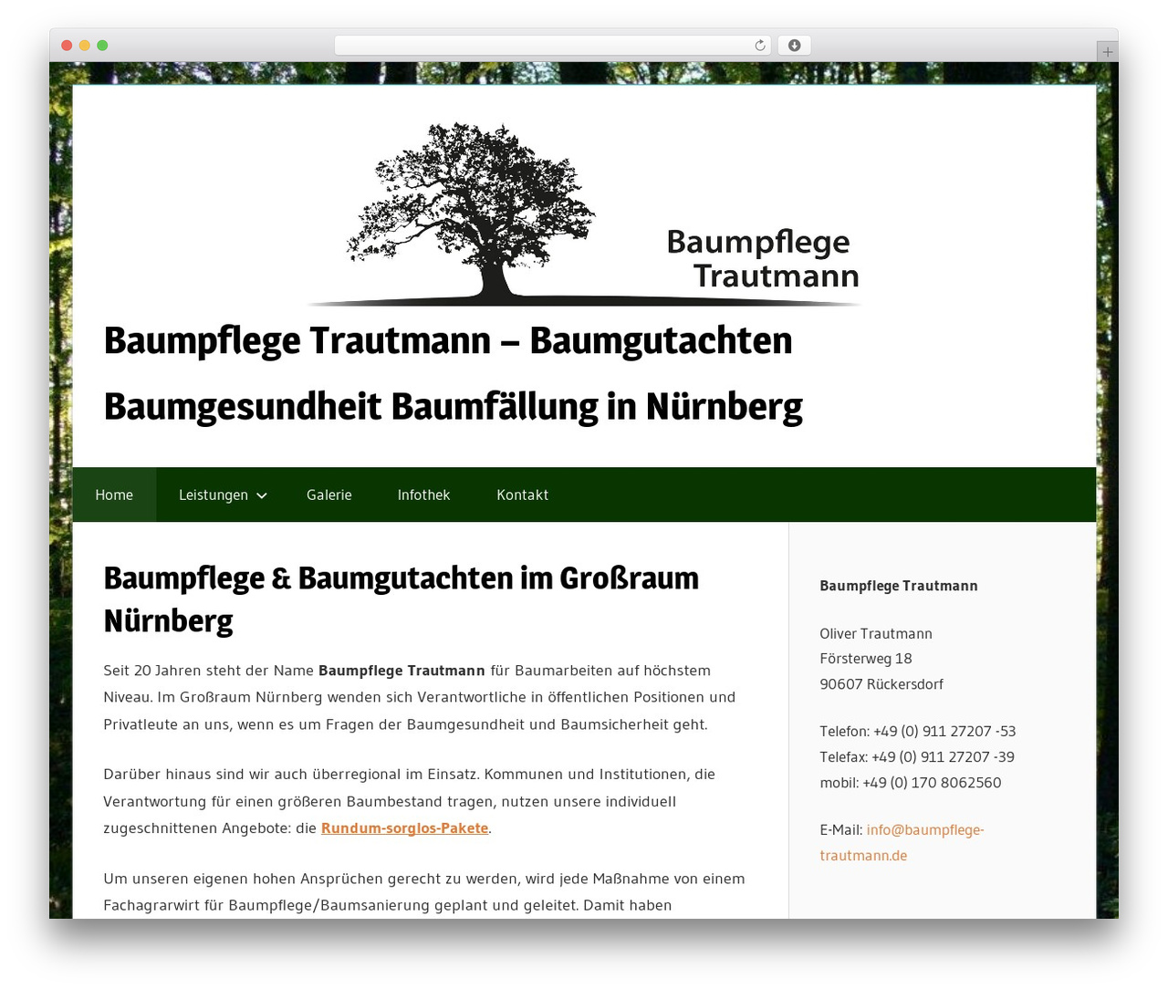Wellington WordPress theme - baumpflege-trautmann.de Wellington WordPress theme - baumpflege-trautmann.de