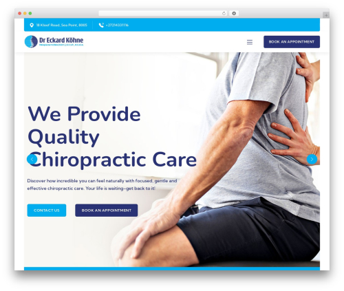 WordPress theme Vaidy - capechiropractor.co.za