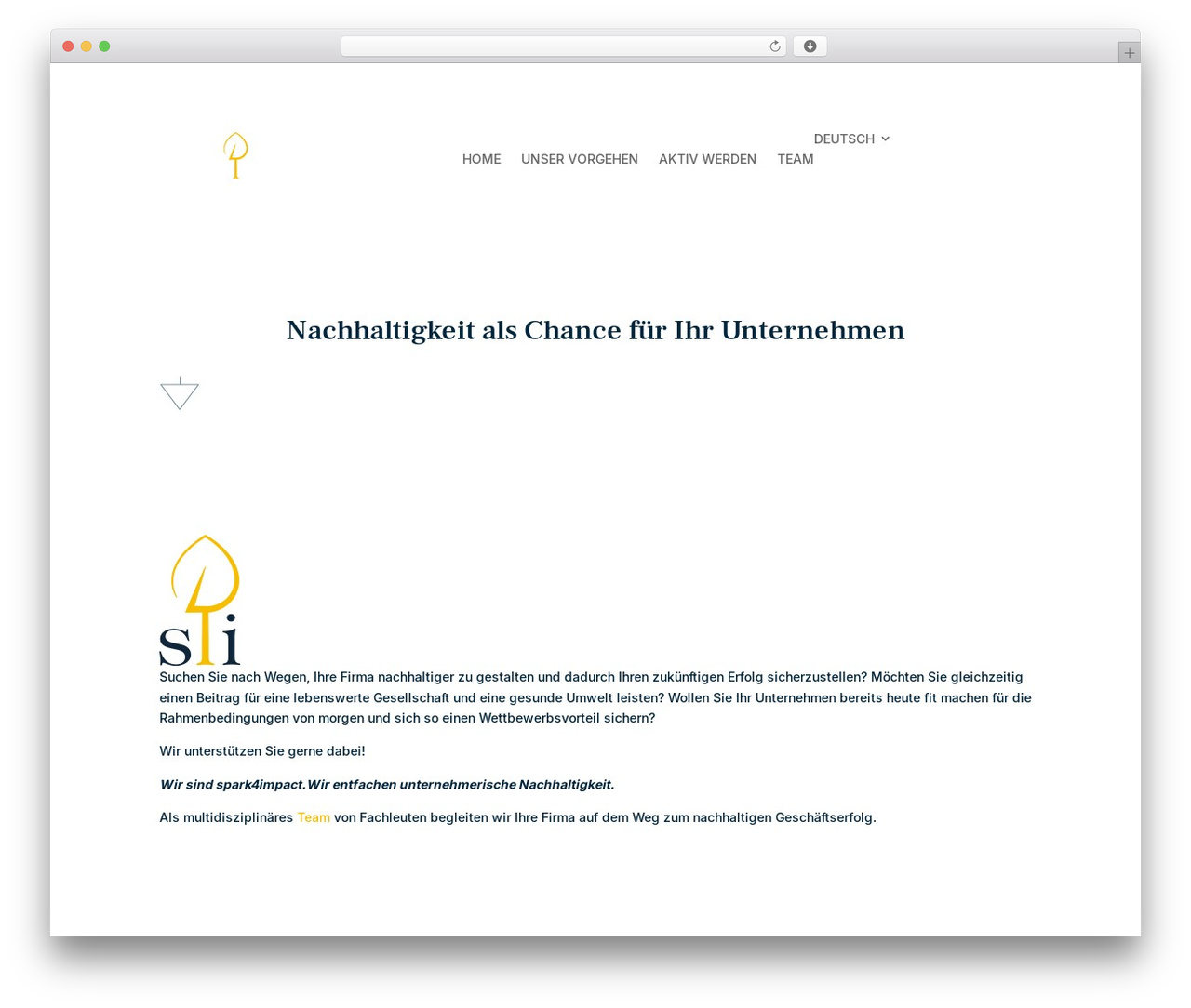 WordPress website theme Divi - spark4impact.ch