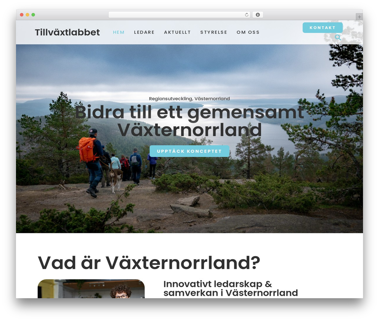 WordPress website theme Hello Elementor - tillvaxtlabbet.com WordPress website theme Hello Elementor - tillvaxtlabbet.com