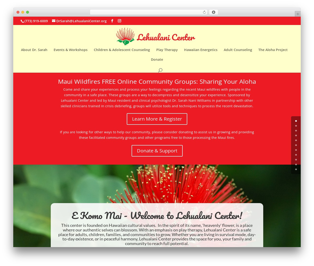 WP theme Divi - lehualanicenter.org WP theme Divi - lehualanicenter.org