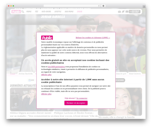 Young ID Parent Theme WordPress theme design - www.public.fr
