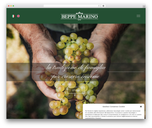 WPC Custom Related Products for WooCommerce (woo-custom-related-products) free WordPress plugin - beppemarino.it